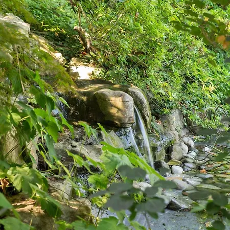 Park - Swiss *